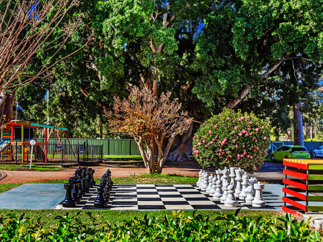 Giant Chess