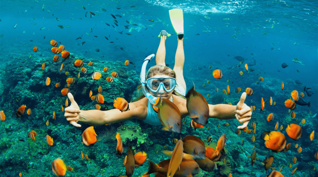 Snorkelling 1