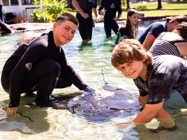 sharkb8 std c2052f45 2969 4580 896a 4d20428595c8